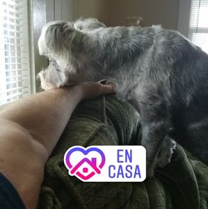 Meet your Posher, Steve